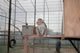 ABU