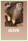iGive